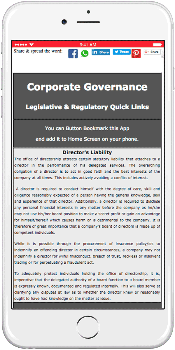 WhatsGood Corporate Governance - Director's regulatory and legislative duties