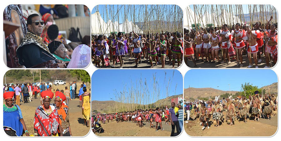 Annual Reed Dance - Tour