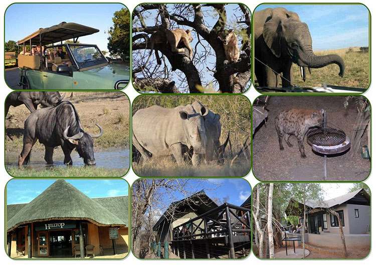 Hluhluwe Imfolozi Game Reserve - ZuluSafaris.com