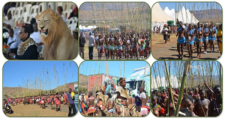 Annual Reed Dance Festival - ZuluSafaris.com