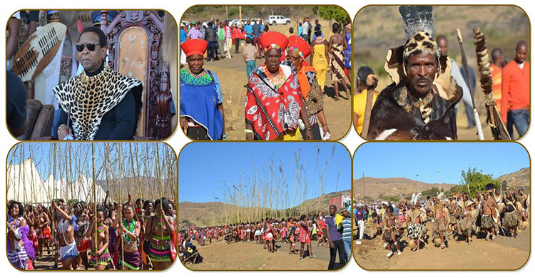 Reed Dance Festival - Day Trip