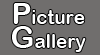 Seen About: Picture Gallery