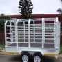 2.6 ton Cattle Trailer 2.6 ton Cattle Trailer